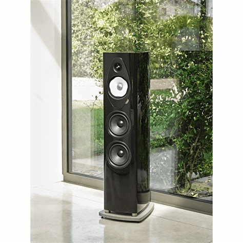 SONUS FABER Sonetto 8 G2 zwart luidspreker