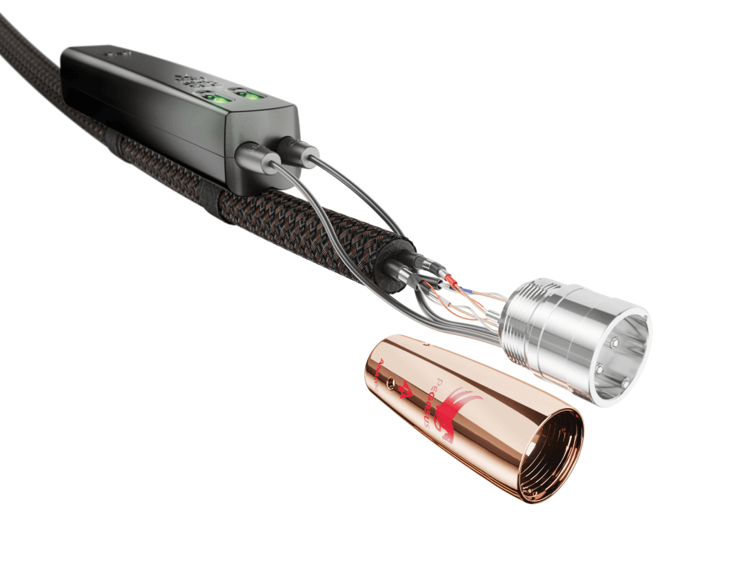 AudioQuest PEGASUS XLR 1