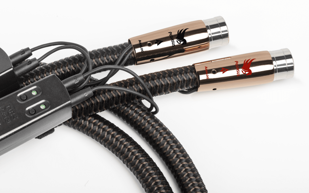 AudioQuest PEGASUS XLR 1
