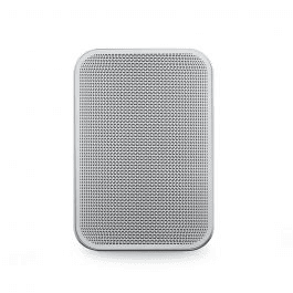 Bluesound PULSE FLEX 2i draadloze speaker