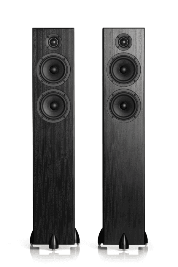 Totem BISON TWIN TOWER zwart essen luidspreker