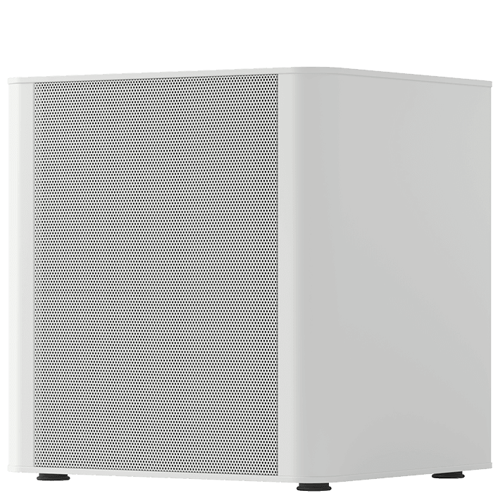 Piega PS101 wit SUBWOOFER