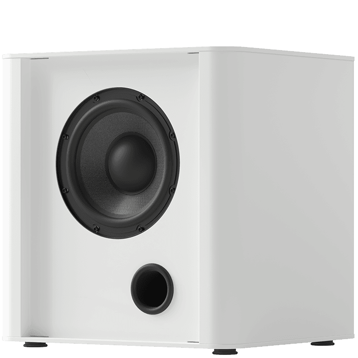 Piega PS101 wit SUBWOOFER