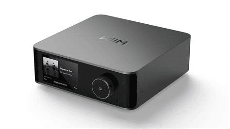 Wiim Amp Ultra VERSTERKER