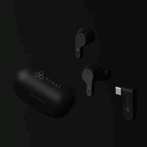 FINAL VR3000 SV zwart in-ear