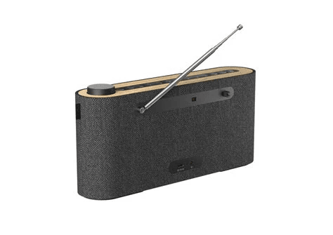 Loewe RADIO.FREQUENCY PORTABLE AUDIO