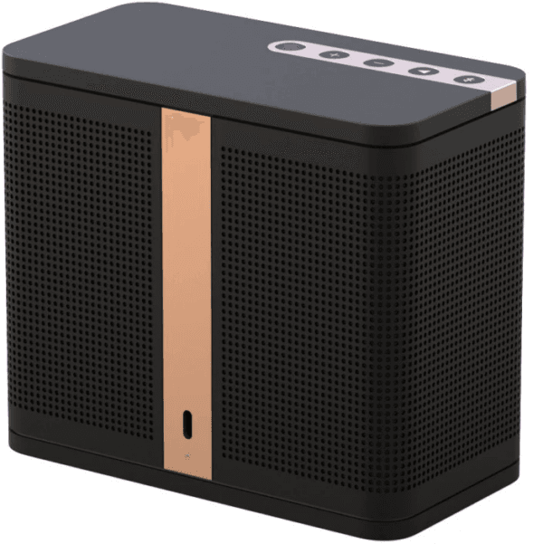 ELAC NAVA zwart Bluetooth speaker