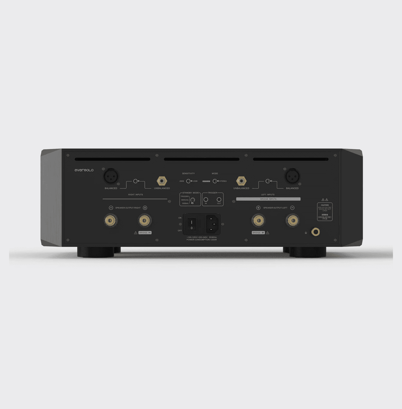 EverSolo AMP-F10 eindversterker