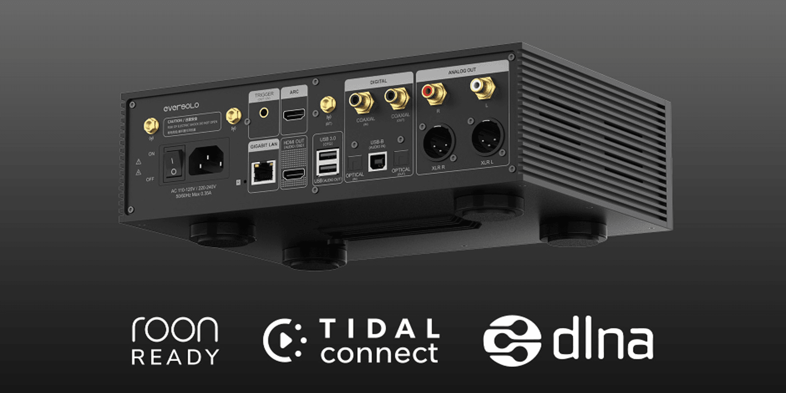 EverSolo DMP-A6 Gen 2 NETWERKSPELER