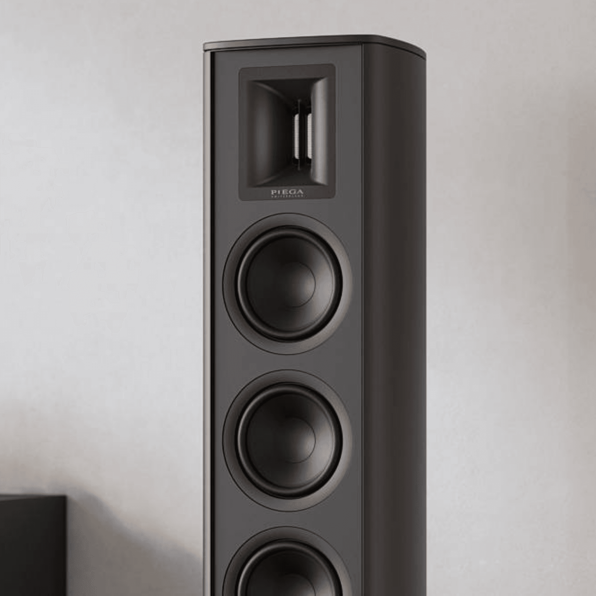 Piega Premium 801 luidspreker zwart
