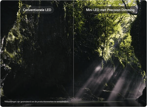 LG 55QNED87B6A LED TV