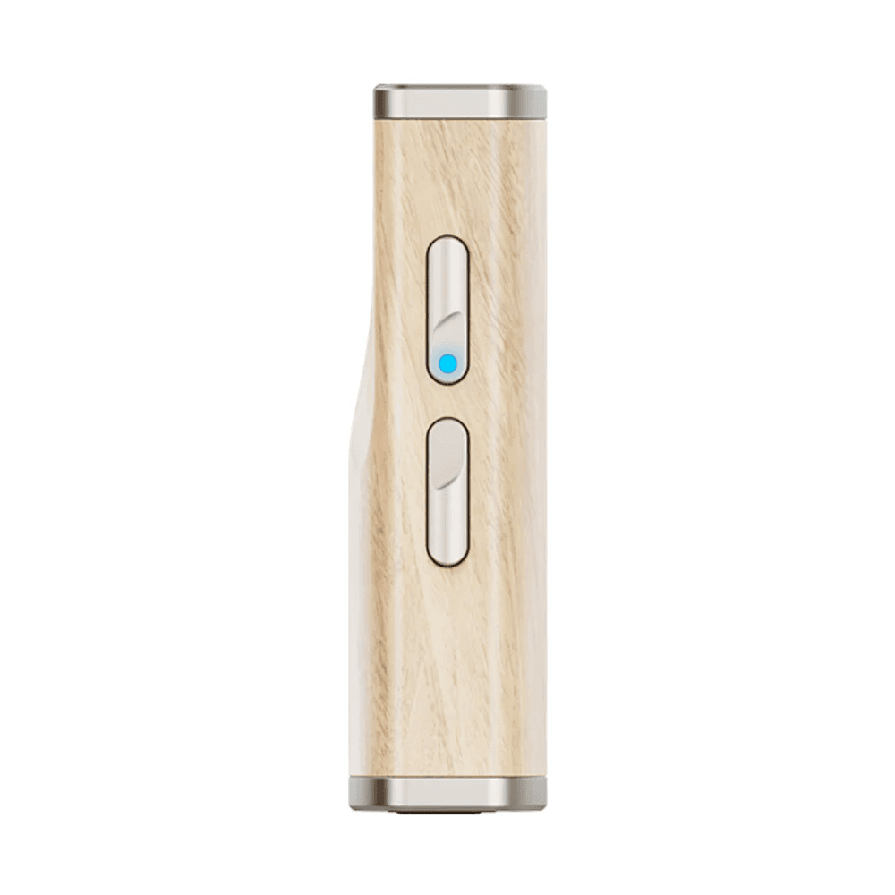 SNOWSKY Melody maple DAC